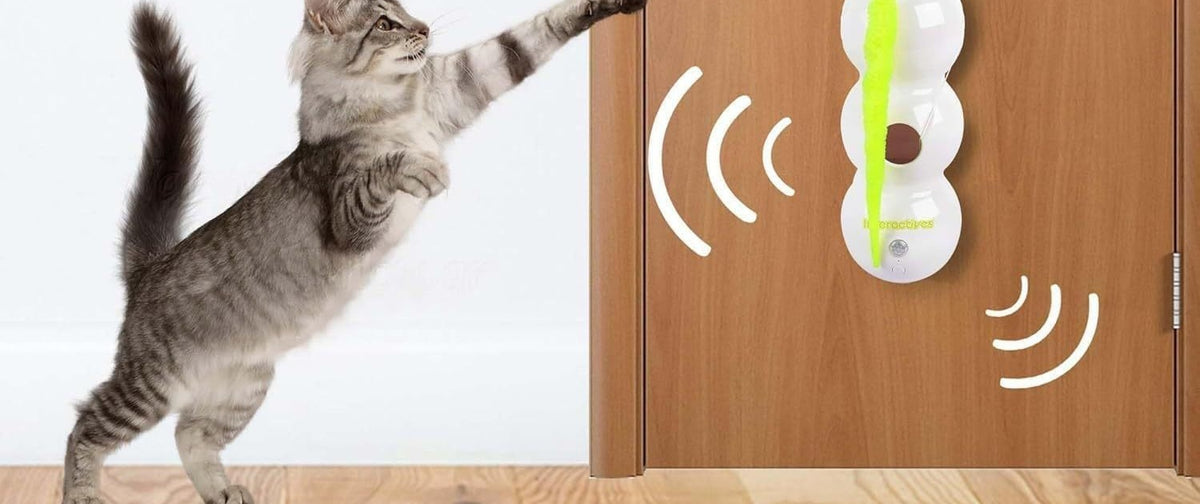 Gros plan sur la ventouse large du jouet à ventouse pour chat