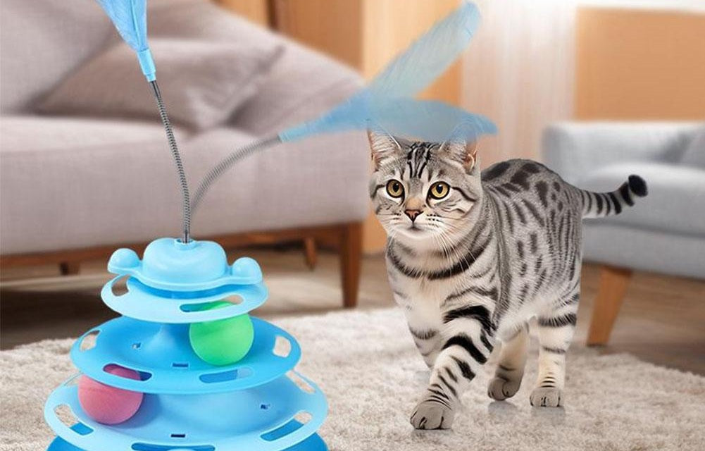 Chat tigré s'approchant de la tour à balles posée sur un tapis de salon