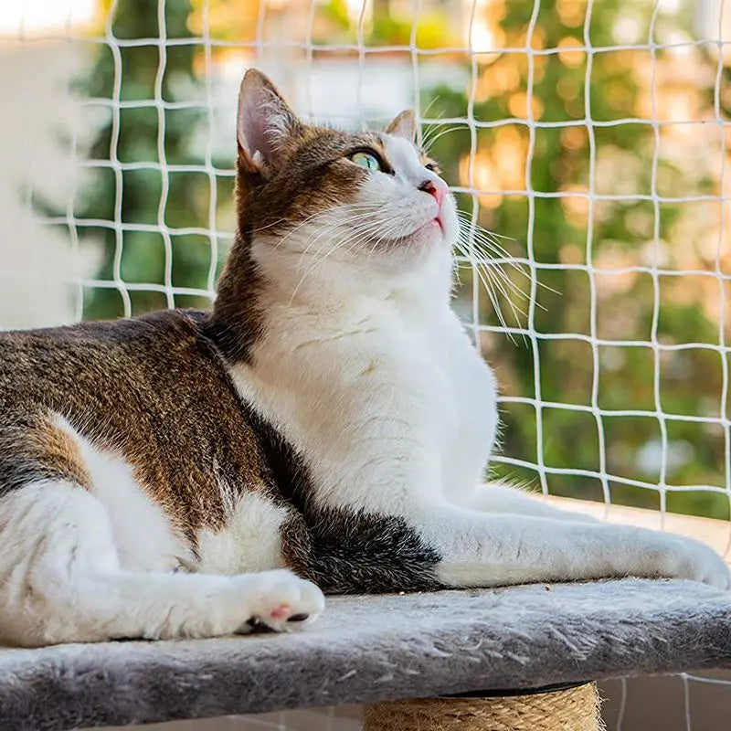 Chat tigré couché derrière un filet blanc tendu sur un balcon, jardin en arrière-plan — filet balcon chat