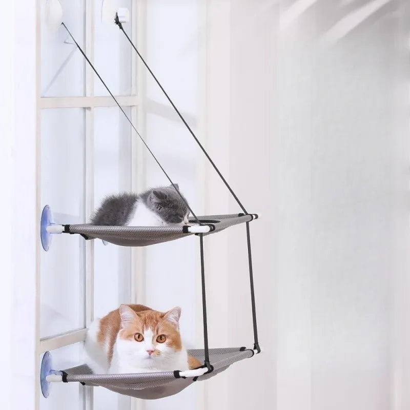 Deux chats installés chacun à un étage du hamac de fenêtre gris à deux niveaux — hamac de fenêtre pour chat