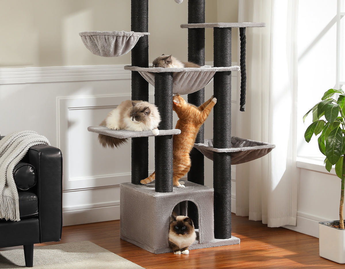 Arbre à chat pour grand chat vu dans un séjour, deux chats couchés sur des niveaux différents