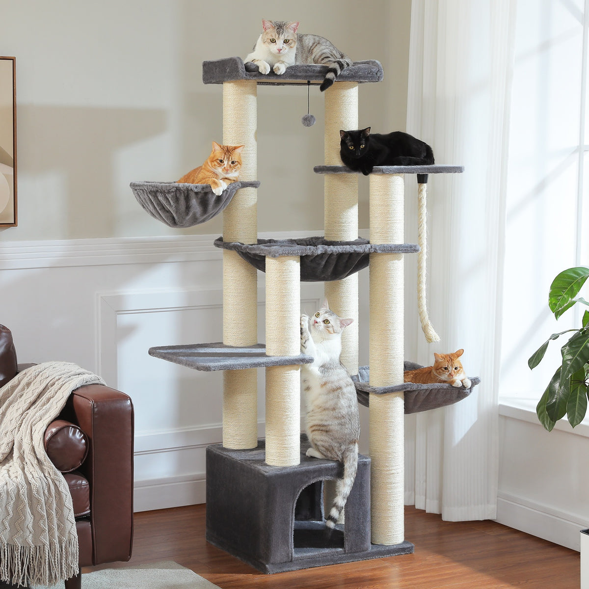 Arbre à chat pour grand chat gris en situation dans un salon, corbeilles suspendues et plateformes larges