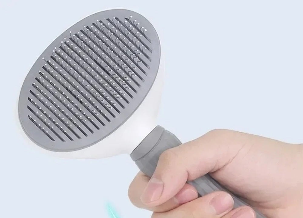 Brosse autonettoyante pour chat tenue en main, tête ovale garnie de picots métalliques fins