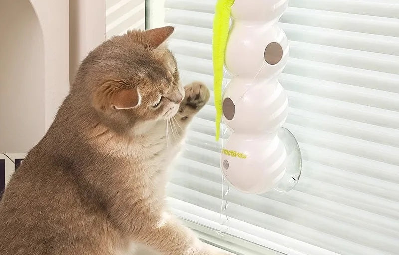 Jouet à ventouse pour chat fixé sur un montant de fenêtre, un chat roux attrapant la queue verte