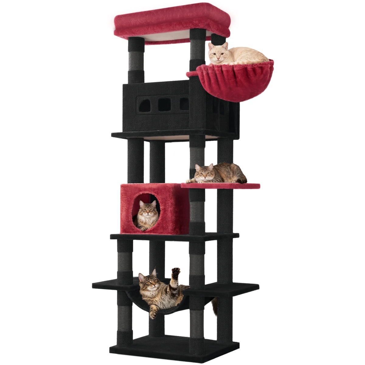 Arbre à chat 170 cm coloris noir et rouge, corbeille haute et plateformes contrastées