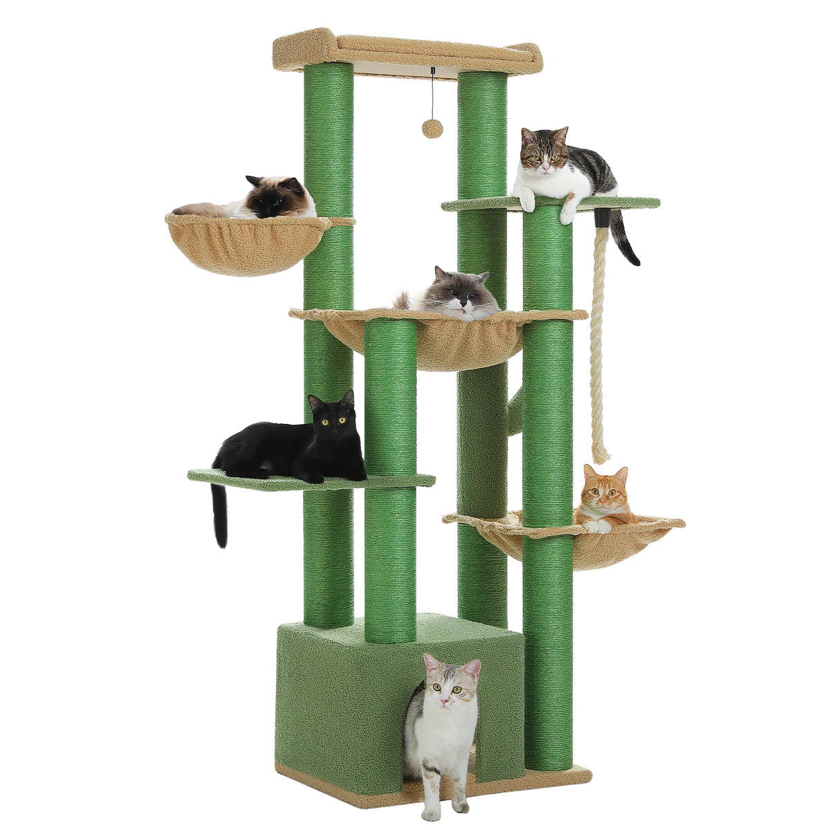 Arbre à chat pour grand chat coloris vert, plateformes larges et corbeilles, plusieurs chats installés