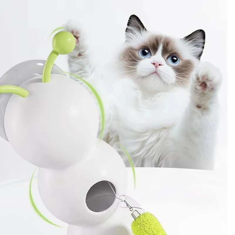 Jouet à ventouse pour chat blanc collé sur une vitre, la queue verte sortant du logement, un chat ragdoll tendant la patte