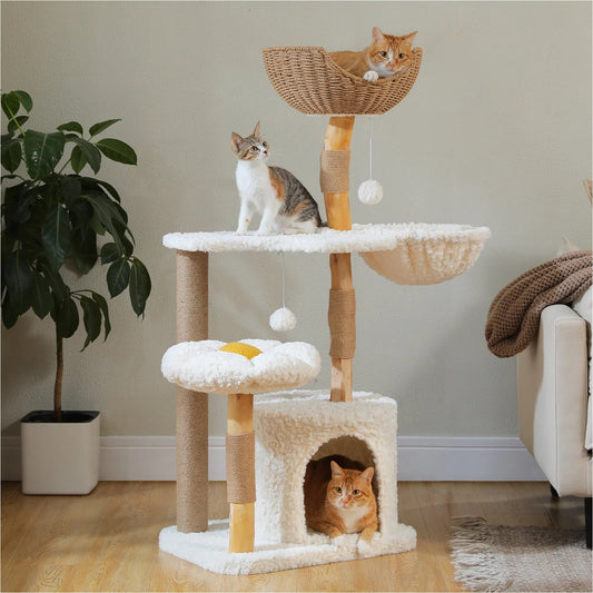 Arbre à chat quatre niveaux à pieds en bois, panier en osier au sommet, chat roux couché dedans — arbre à chat en bois