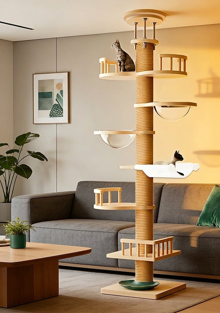 Arbre à chat en bois du sol au plafond dans un salon, plateformes, hamacs et deux chats