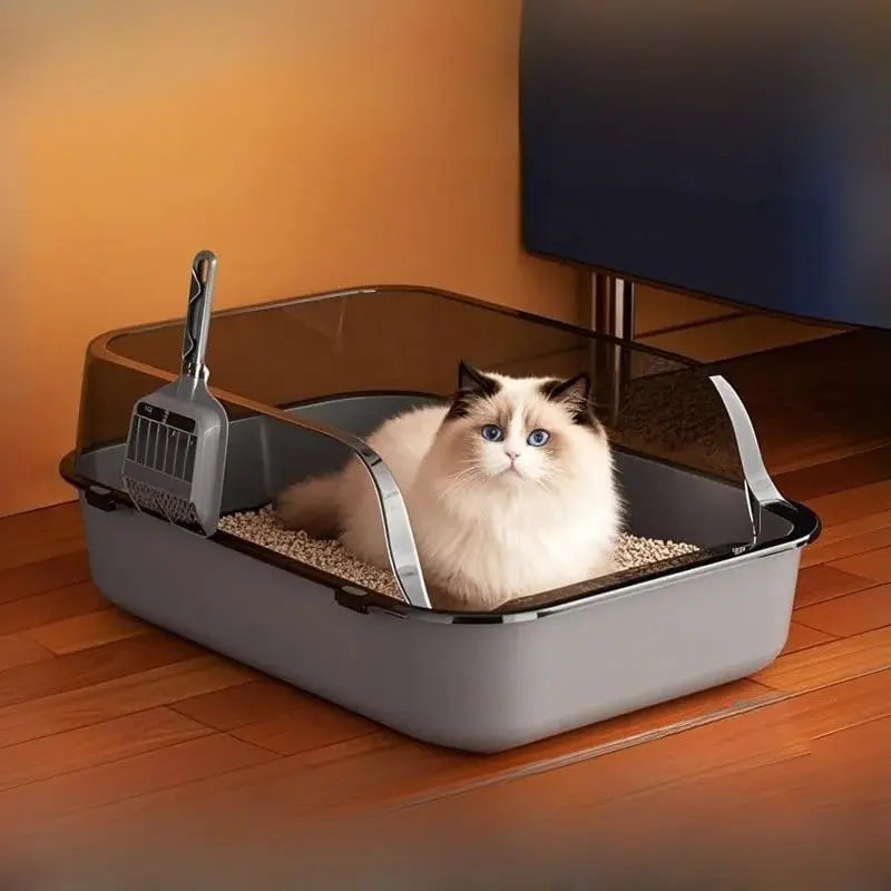 Chat sacré de Birmanie assis dans le bac à litière compact pour chat, parois transparentes relevées