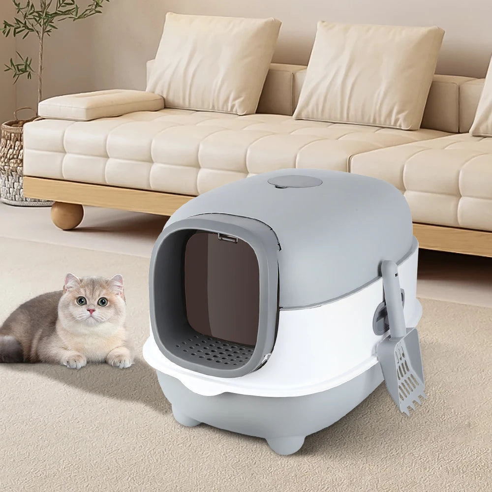 Bac à litière fermé pour chat posé sur un tapis de salon, un chat gris couché à côté