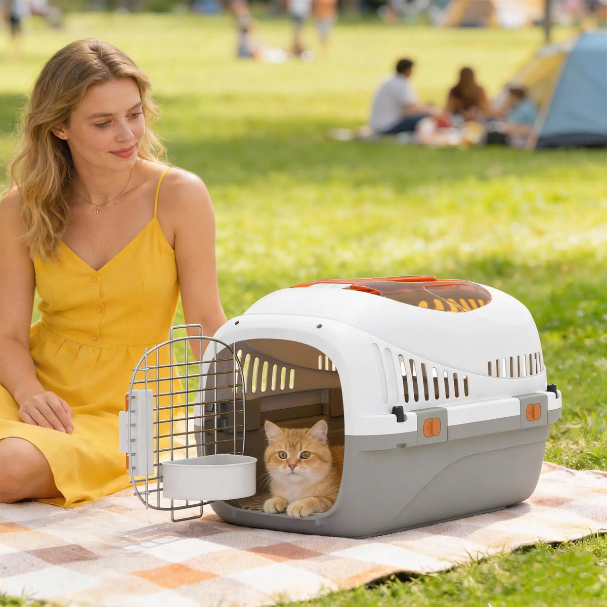 Cage de transport pour chat posée dans l'herbe, chat roux couché à l'intérieur, porte ouverte