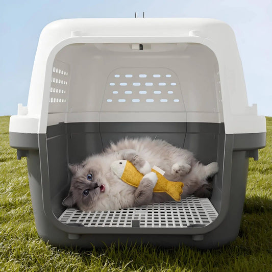 Cage de transport chat blanche et grise, porte retirée, chat ragdoll couché sur le plancher grille