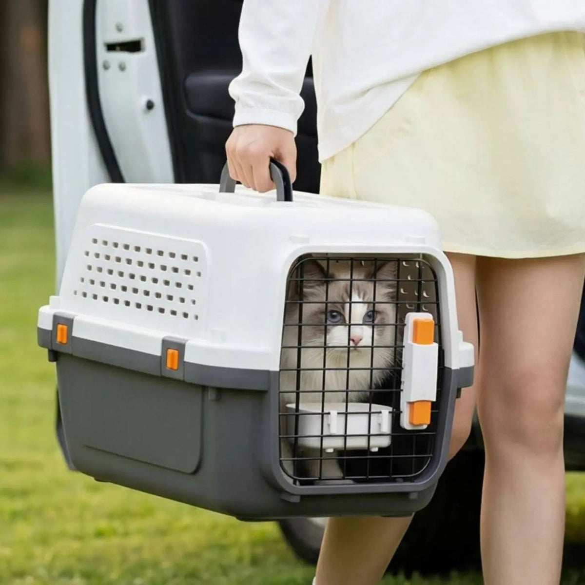 Cage de transport chat grise portée par la poignée, chat ragdoll derrière la porte grille
