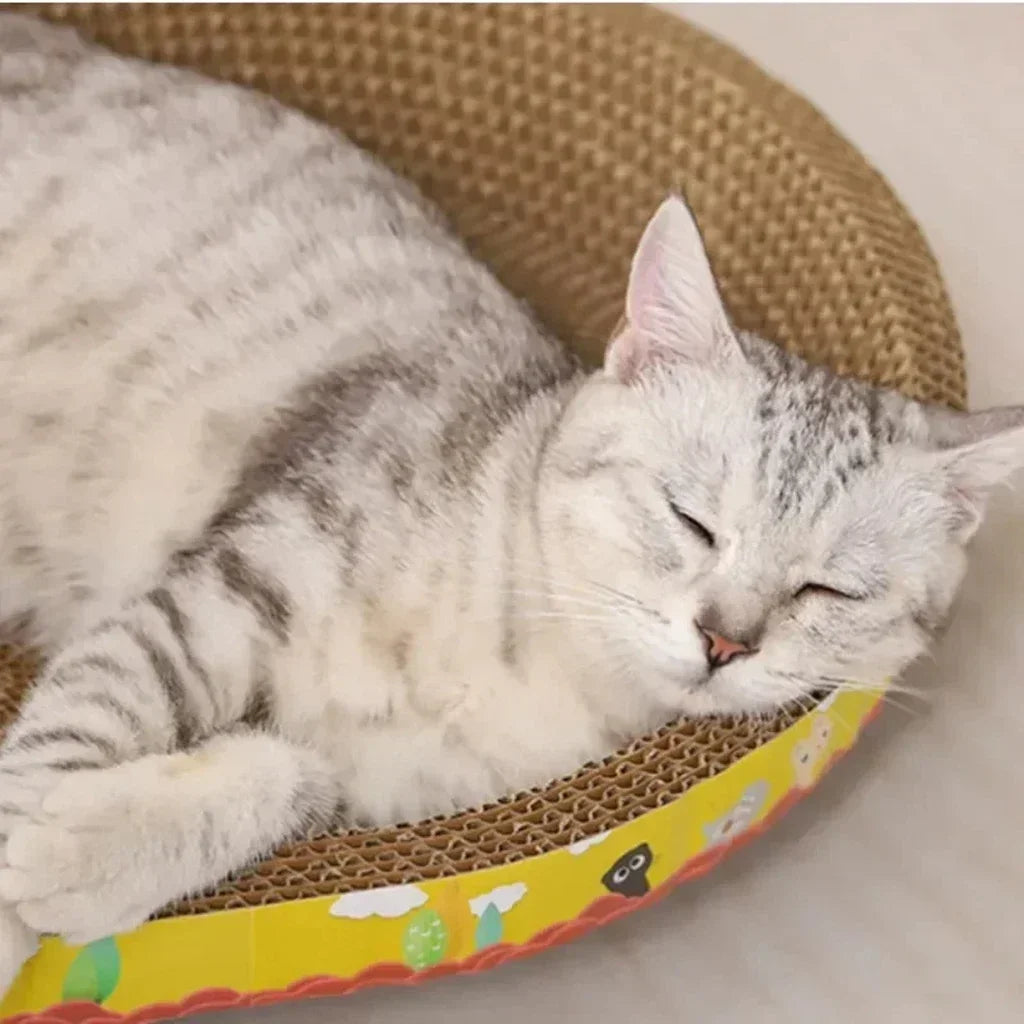 Gros plan d'un chat endormi dans la corbeille griffoir en carton pour chat, bordure jaune imprimée