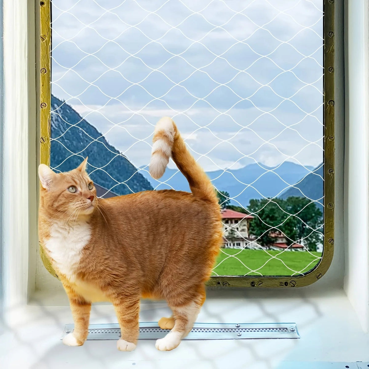 Chat roux debout devant une fenêtre équipée d'un filet blanc translucide, vue sur la montagne — filet balcon chat