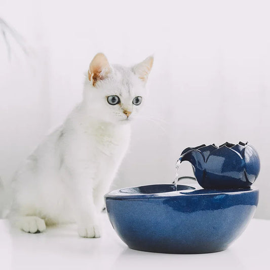 Chat blanc assis devant une fontaine en céramique bleue, verseuse en forme de lotus et bol — fontaine à eau chat céramique