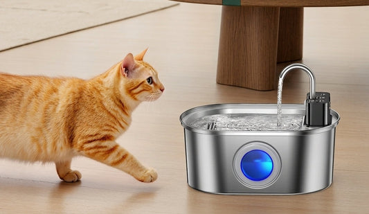 Fontaine à eau chat sans fil en inox à robinet, posée au sol et sur une table
