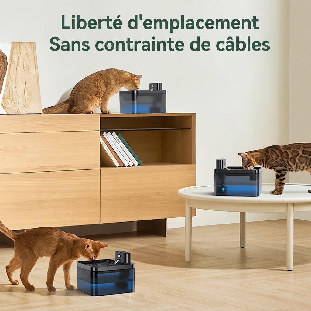 Fontaine à eau chat installée sur trois meubles différents, sans contrainte de câble