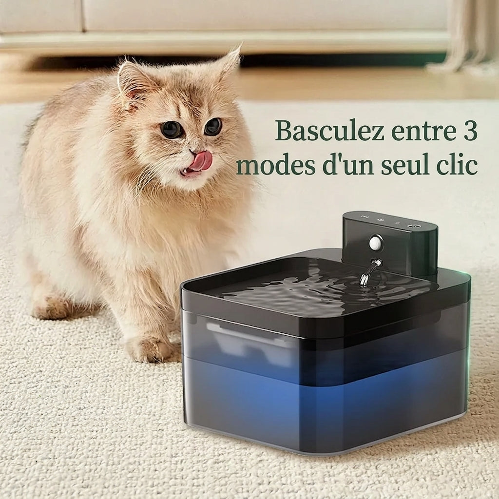 Chat à poils longs devant la fontaine à eau chat, sélecteur de trois modes de débit
