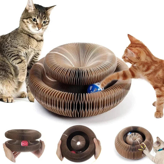 Griffoir chat accordéon déplié en couronne avec sa balle, deux chats de part et d'autre