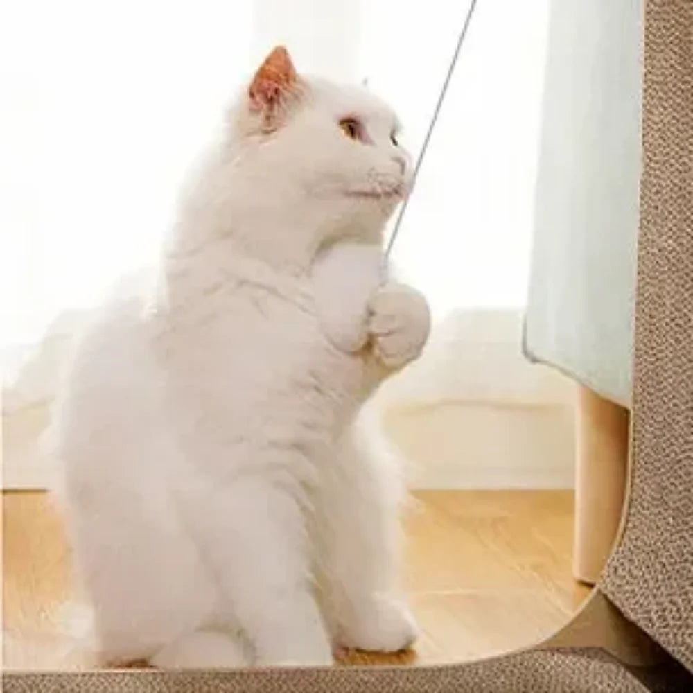 Gros plan d'un chat blanc griffant le panneau vertical du griffoir chat design à cadre bois
