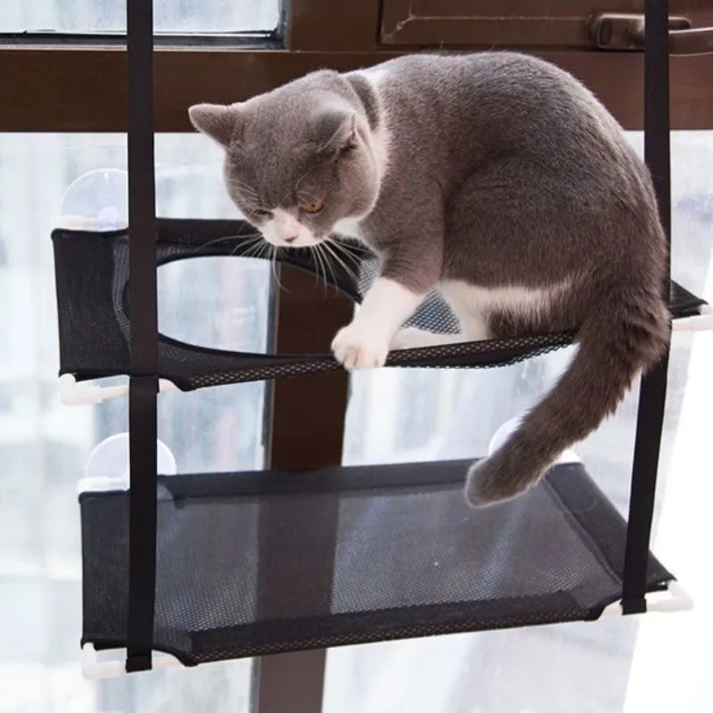 Chat gris debout sur l'étage supérieur du hamac de fenêtre noir à deux niveaux — hamac de fenêtre pour chat