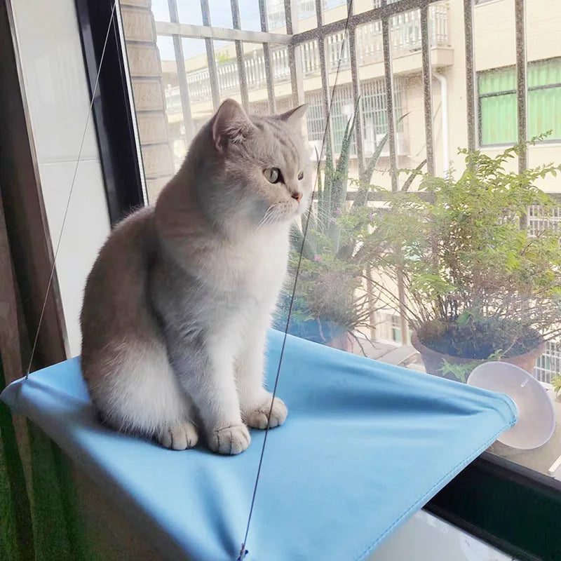 Chat gris assis sur la toile bleue du hamac fixé à la vitre, vue sur des plantes de balcon — hamac de fenêtre pour chat