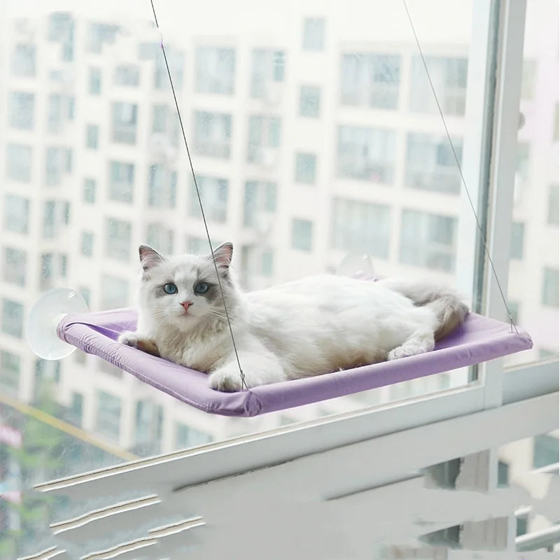 Chat blanc allongé sur la toile violette du hamac suspendu à la fenêtre par ses câbles — hamac de fenêtre pour chat