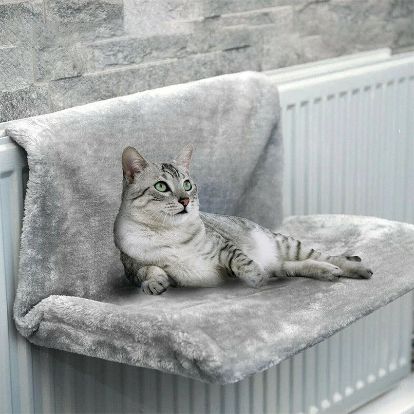 Chat tigré argenté allongé sur un hamac chat radiateur gris fixé à un radiateur blanc