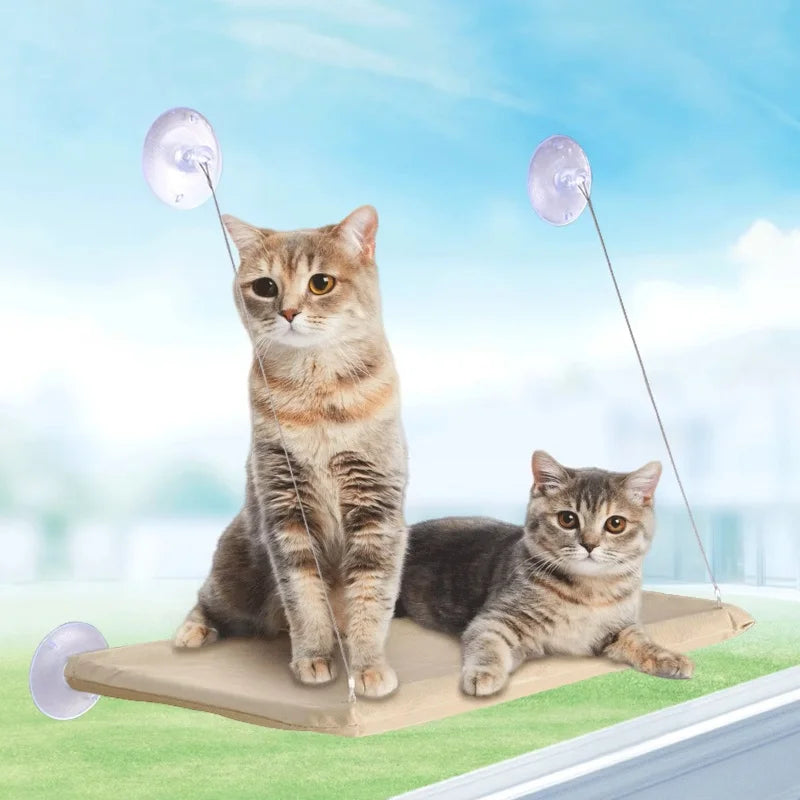 Plateforme de fenêtre beige fixée sur une vitre par quatre ventouses, deux chats installés — plateforme de fenêtre pour chat