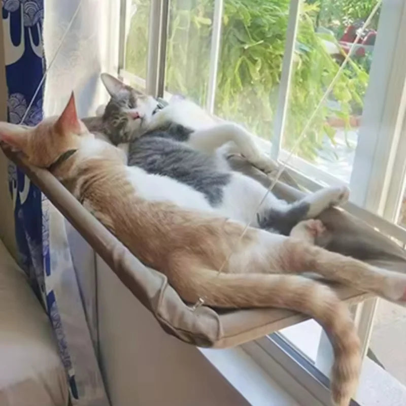 Deux chats endormis côte à côte sur la plateforme de fenêtre beige, devant un jardin — plateforme de fenêtre pour chat