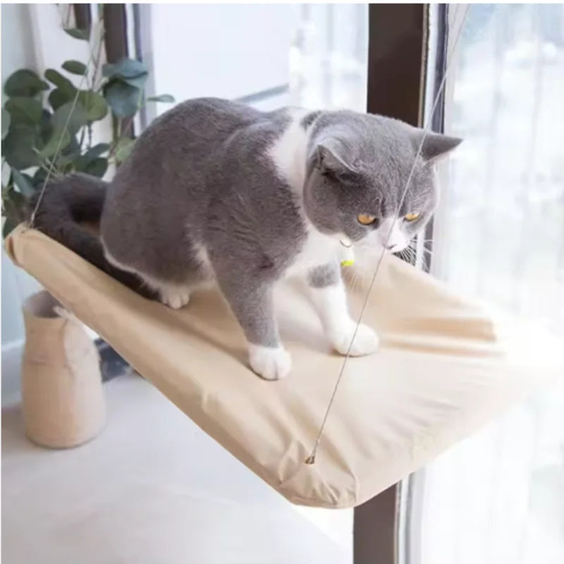 Chat gris et blanc debout sur la plateforme rembourrée suspendue à la vitre par ses câbles — plateforme de fenêtre pour chat