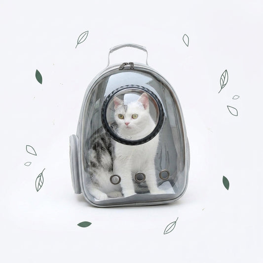 Chat blanc et gris assis dans le sac à dos chat à coque transparente et hublot rond
