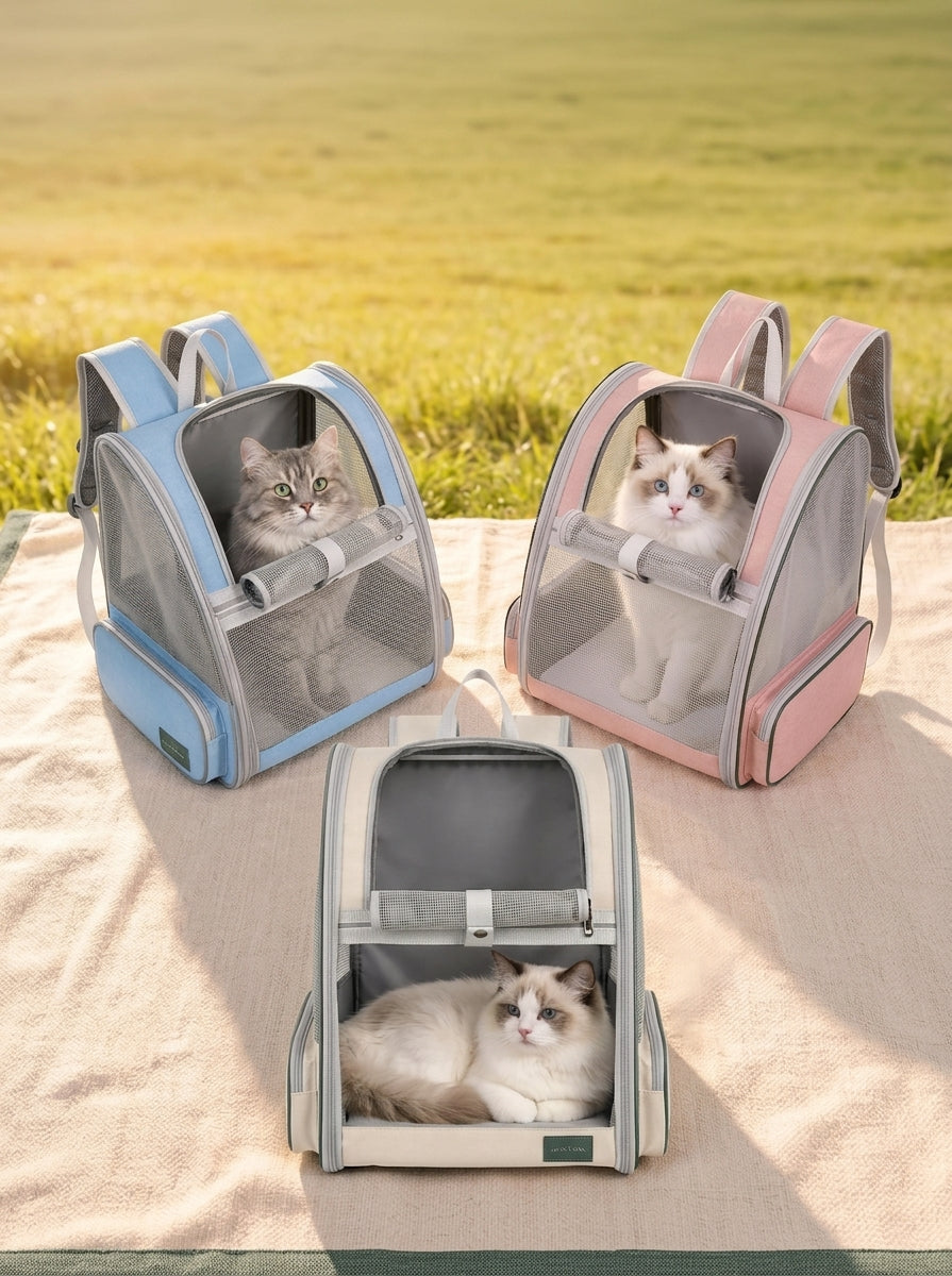 Trois coloris du sac à dos chat — bleu, rose et beige — avec un chat dans chacun