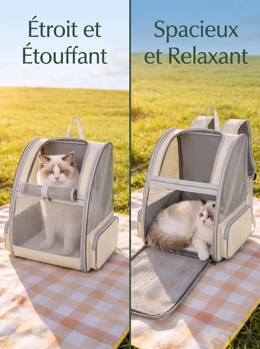 Sac à dos chat fermé puis déplié en plateforme, le chat passe de assis à allongé